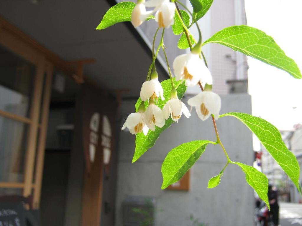 Pensión Hyakumanben Cross Kioto Exterior foto